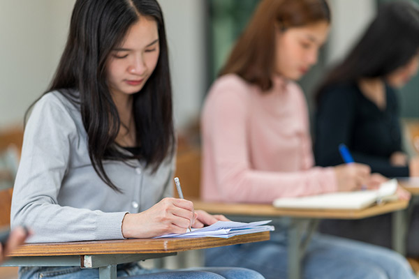 PJC Bridge 受講イメージ