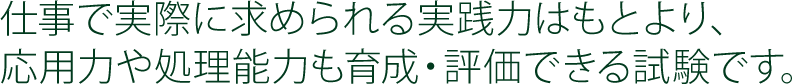 仕事で実際に求められる実践力はもとより、応用力や処理能力も育成・評価できる試験です。