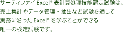 サーティファイExcelR表計算処理技能認定試験は、売上集計やデータ管理・抽出など試験を通して実務に沿ったExcelRを学ぶことができる<br>唯一の検定試験です。