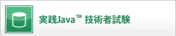 実践Java™技術者試験