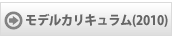 モデルカリキュラム(Excel2010)